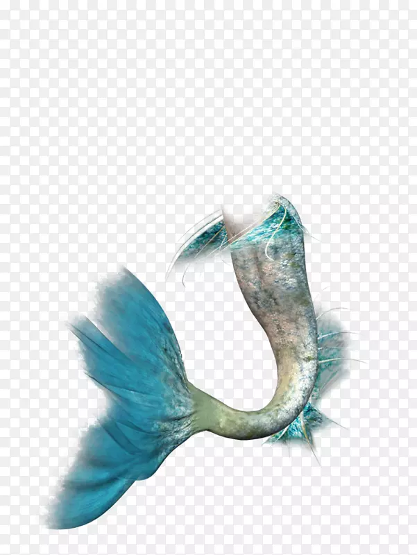 美人鱼尾巴图片