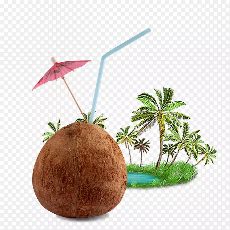 椰子汁和椰子树
