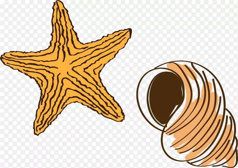 手绘卡通海星海螺