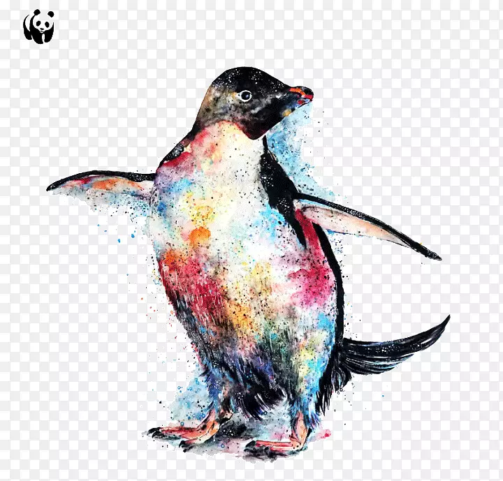 创意彩绘企鹅