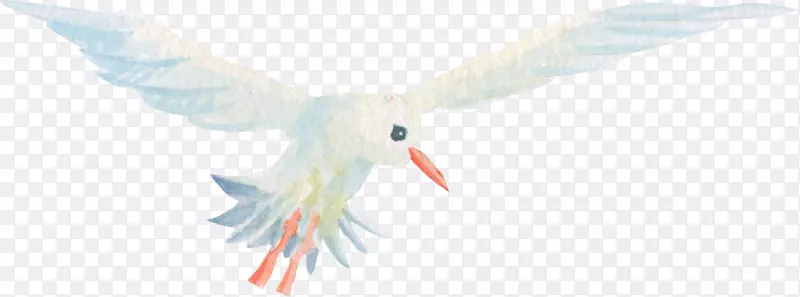白色手绘飞翔的海鸥
