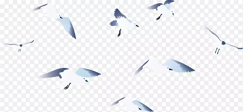 白色飞行海鸥卡通插画