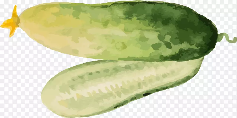手绘绿色黄瓜