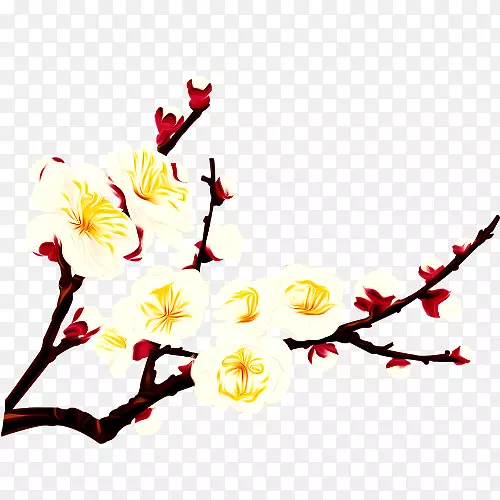 梅花PNG图片素材下载_图片编号7535869-PNG素材网