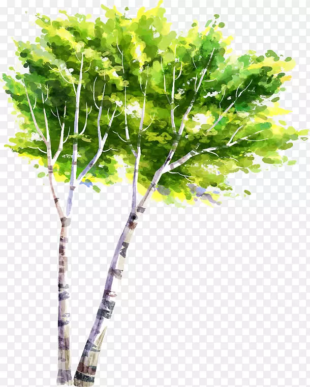 手绘油画树