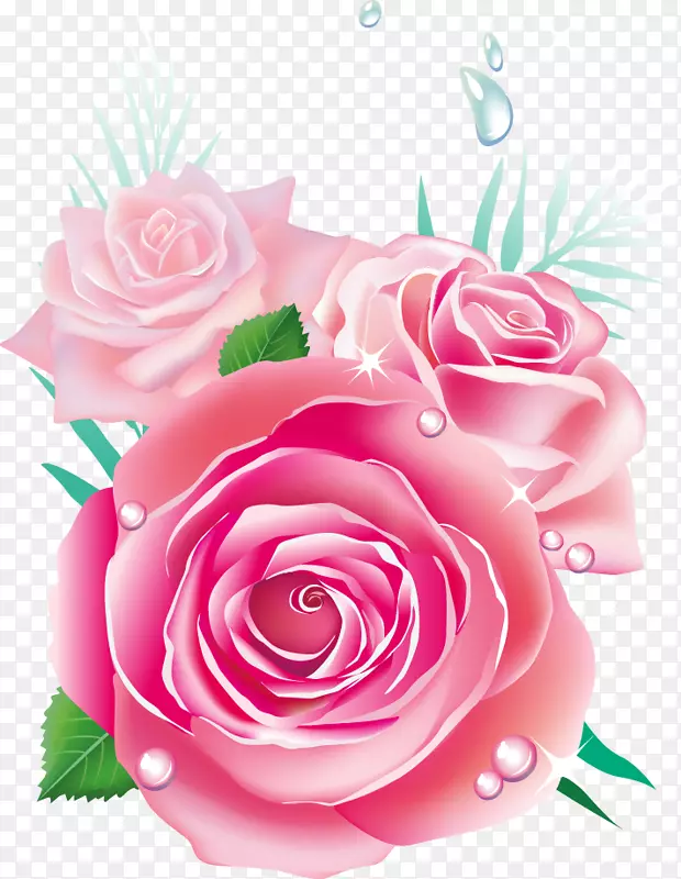 精美唯美玫瑰花花朵