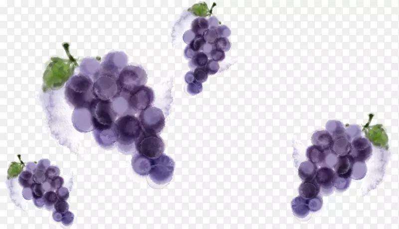 紫色水彩葡萄