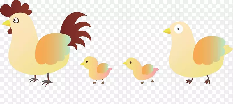 一群小萌鸡