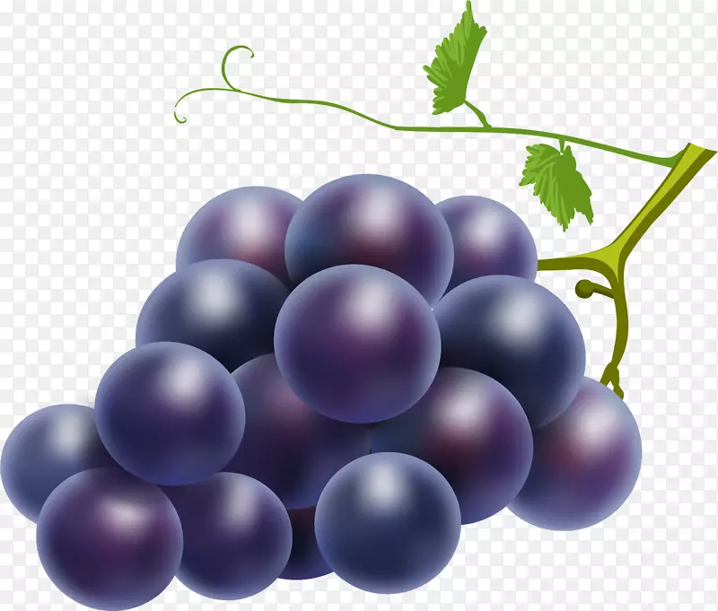 卡通手绘紫色的葡萄