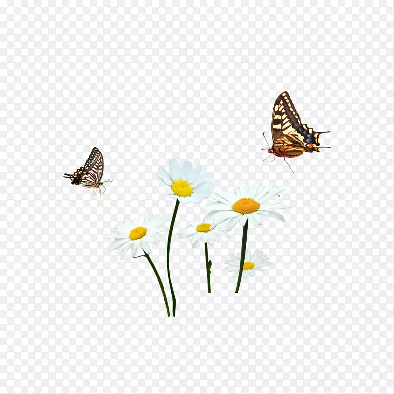 手绘花和飞旋的蝴蝶