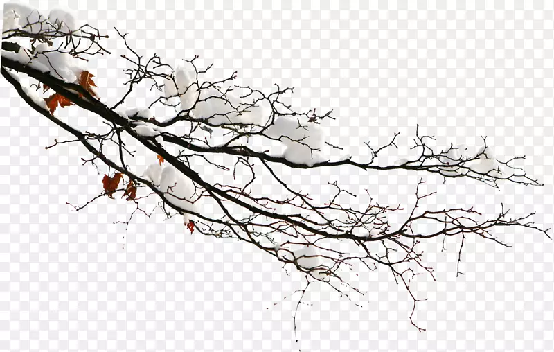 高清摄影创意合成树木雪花