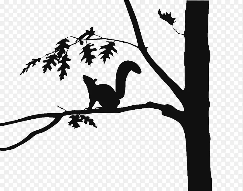 黑白插图小松鼠与树枝