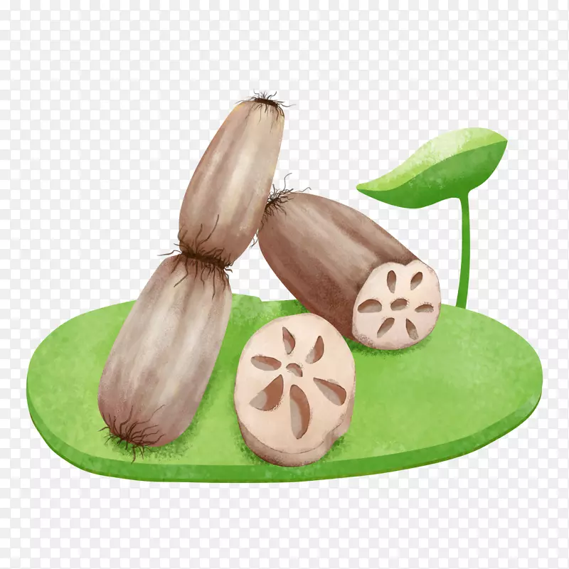 卡通手绘灰色的莲藕