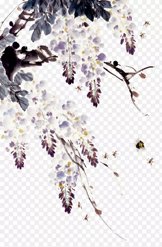 蜜蜂与紫藤