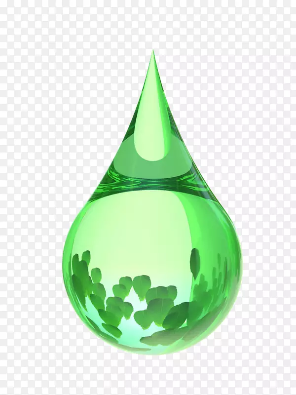 水滴里的植物