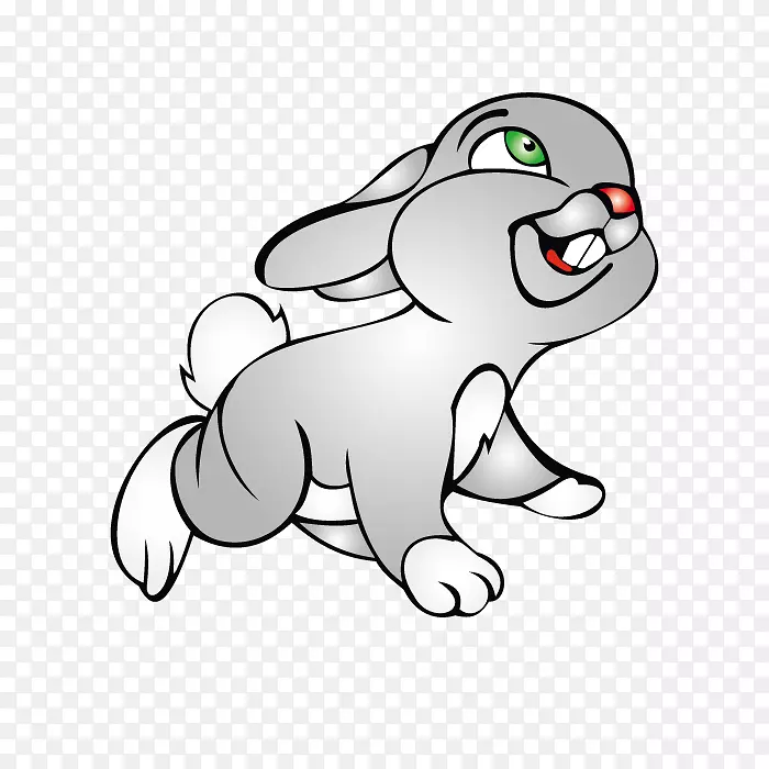 灰色的小兔子