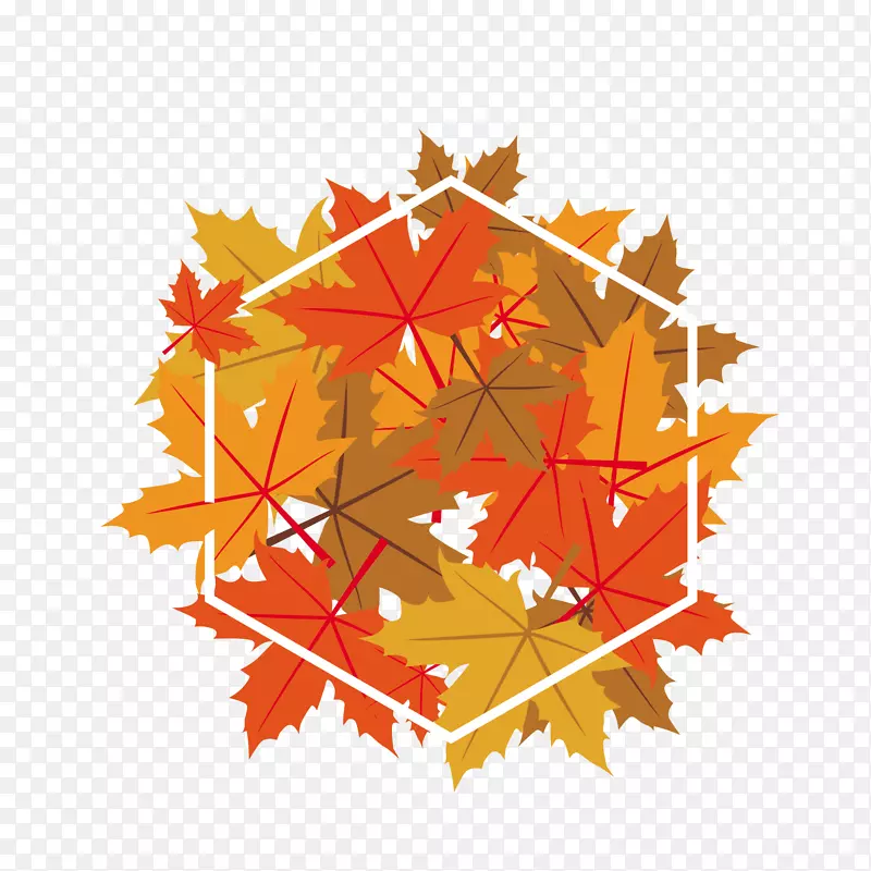 秋季卡通叶子植物标签