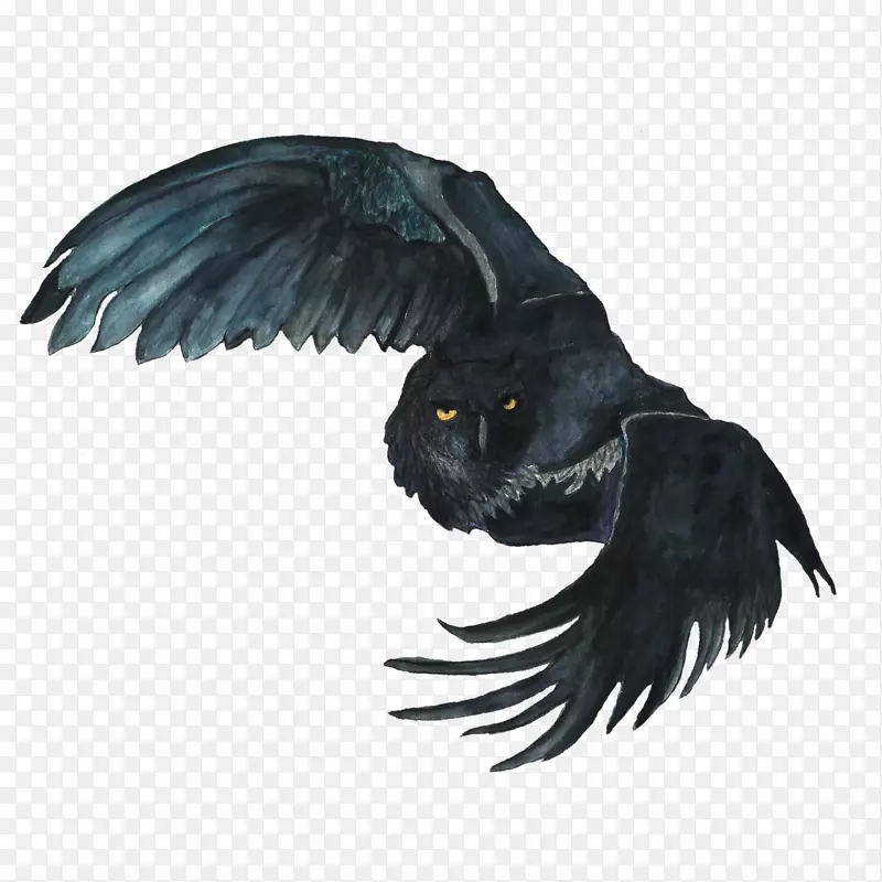 黑色的手绘老鹰效果图