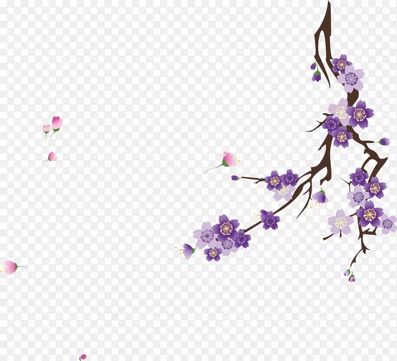 紫色樱桃树枝