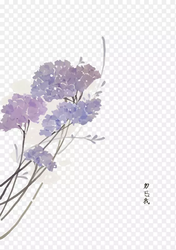 矢量勿忘我PNG图片素材下载_图片编号7557720-PNG素材网