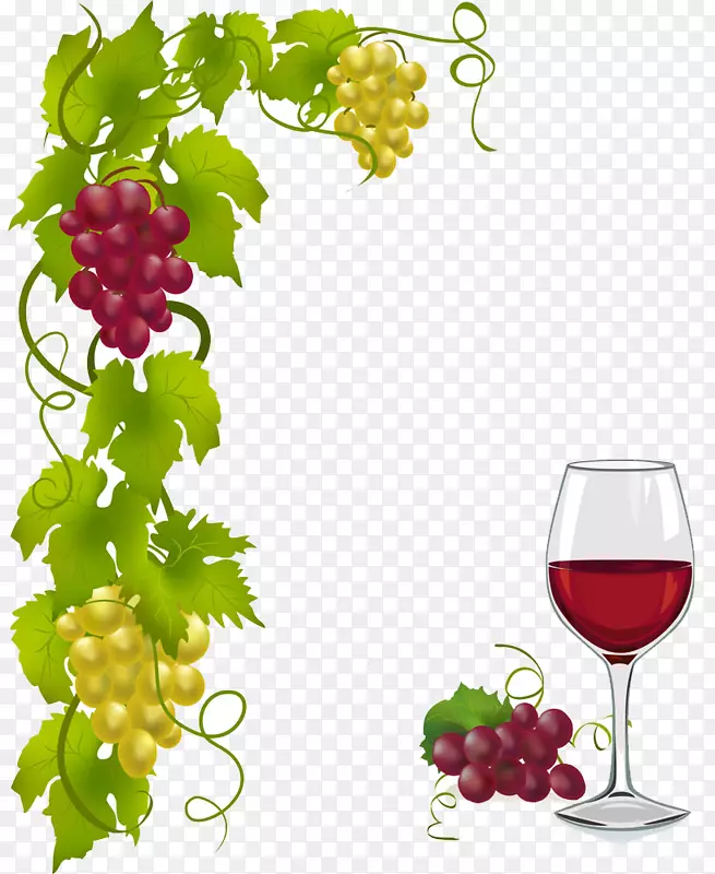 新鲜的葡萄和红酒