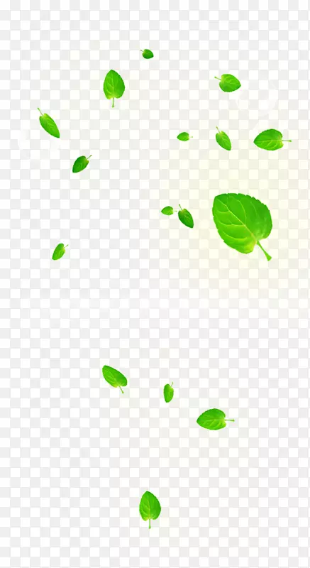 绿色叶子漂浮素材