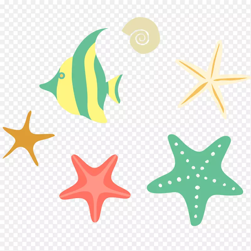 彩色海星和海鱼矢量插画