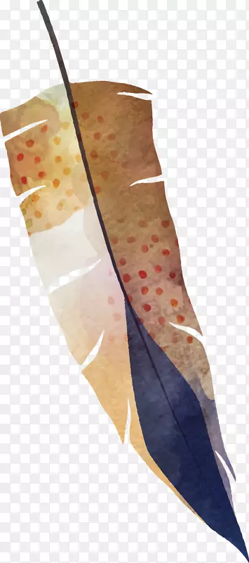 手绘水彩创意羽毛装饰