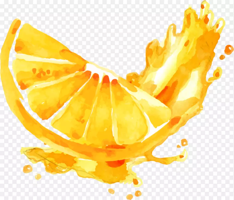 夏季手绘橙子橙汁