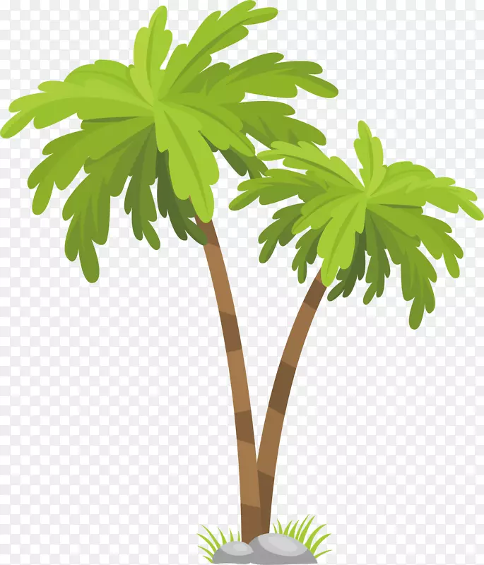 矢量图椰树