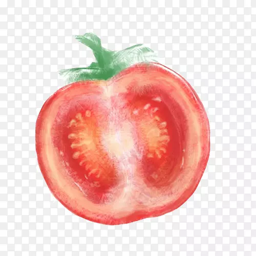 西红柿切片手绘画素材图片