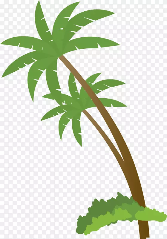 夏天气息绿色椰子树