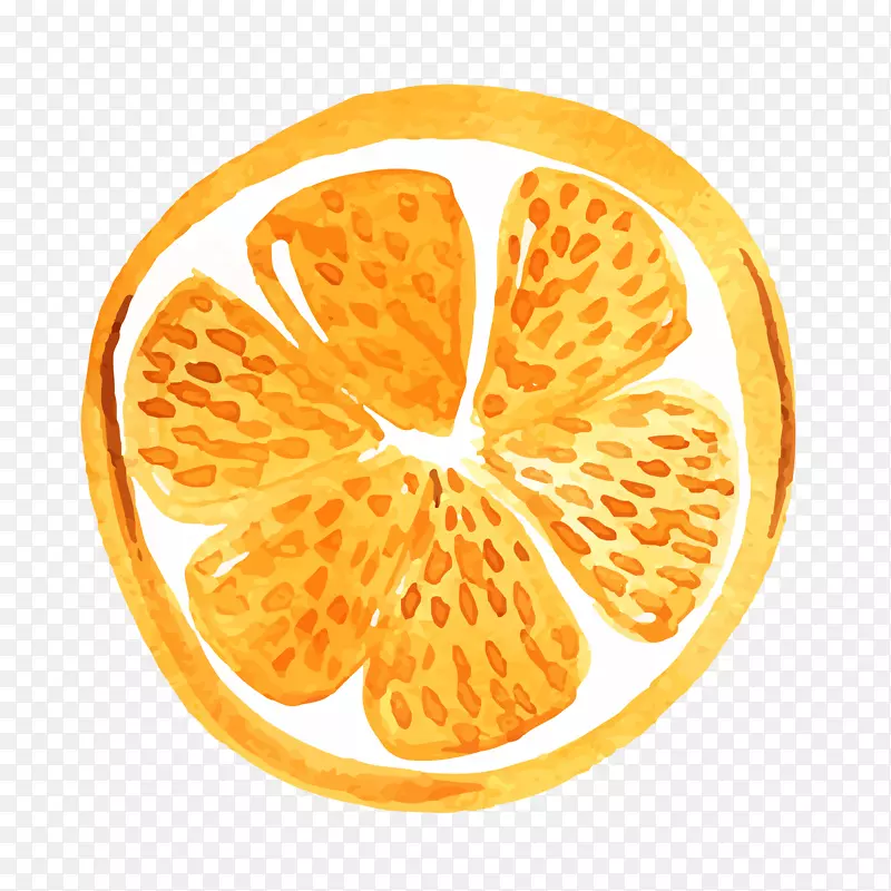 橙子水果手绘设计