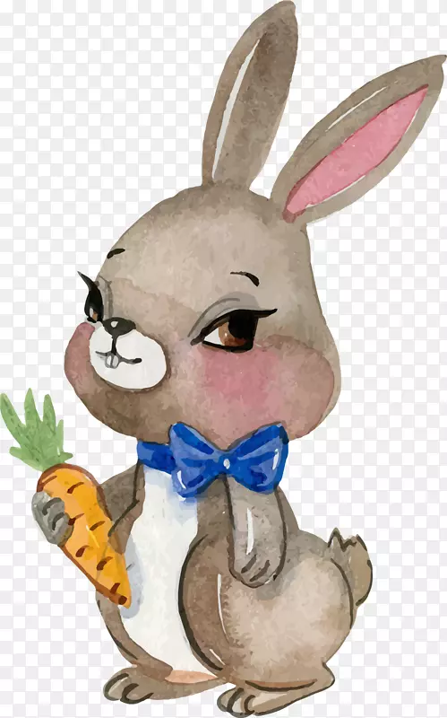 手拿胡萝卜的可爱兔子