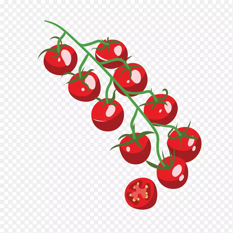 小番茄手绘创意矢量免抠图PNG