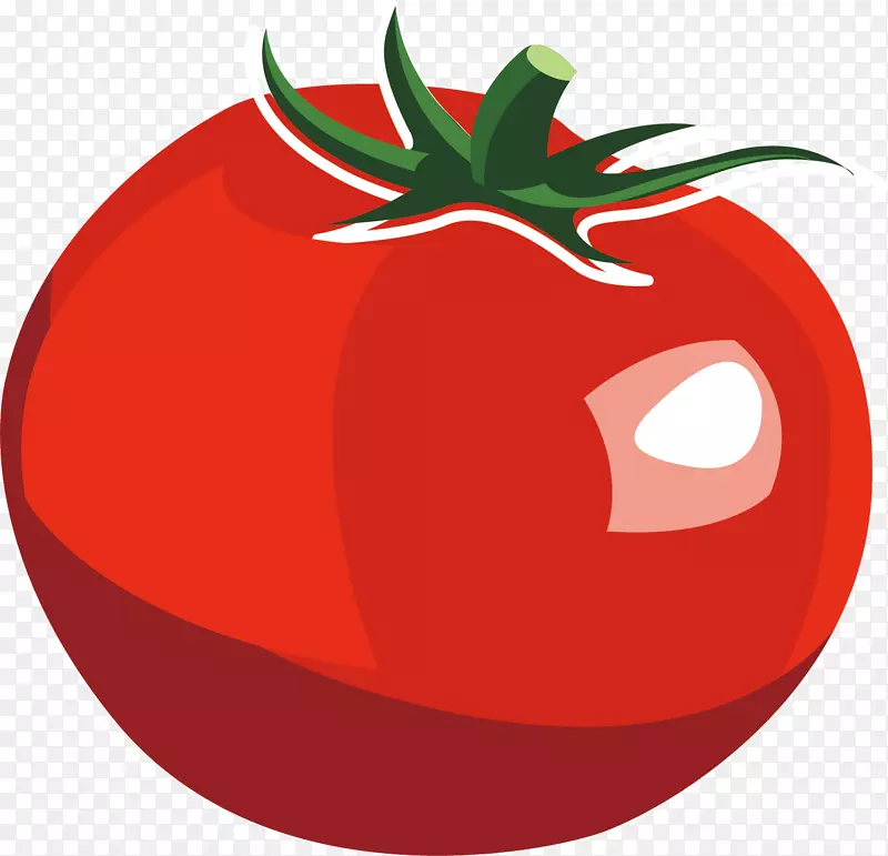 矢量图水彩红色番茄