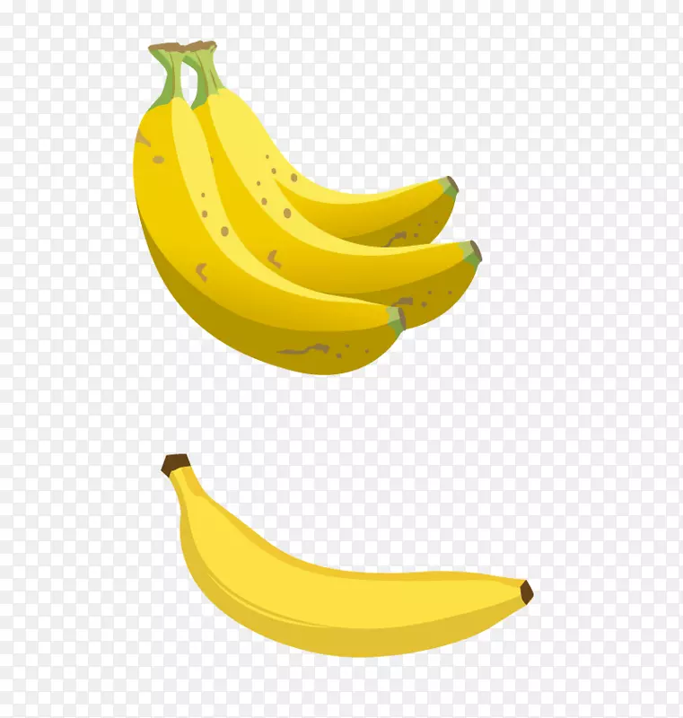 矢量的香蕉
