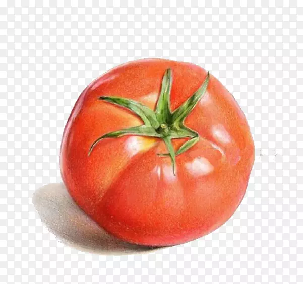 彩铅西红柿