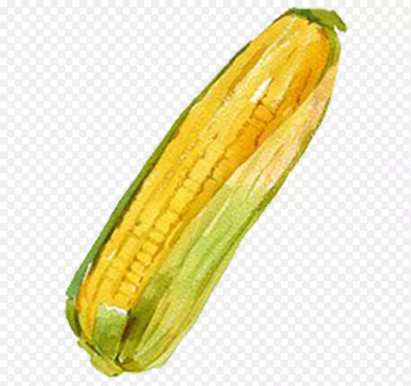 手绘水彩切好的蔬菜素材玉米