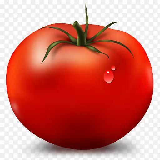 蔬菜素材蔬菜剪影  精美西红柿