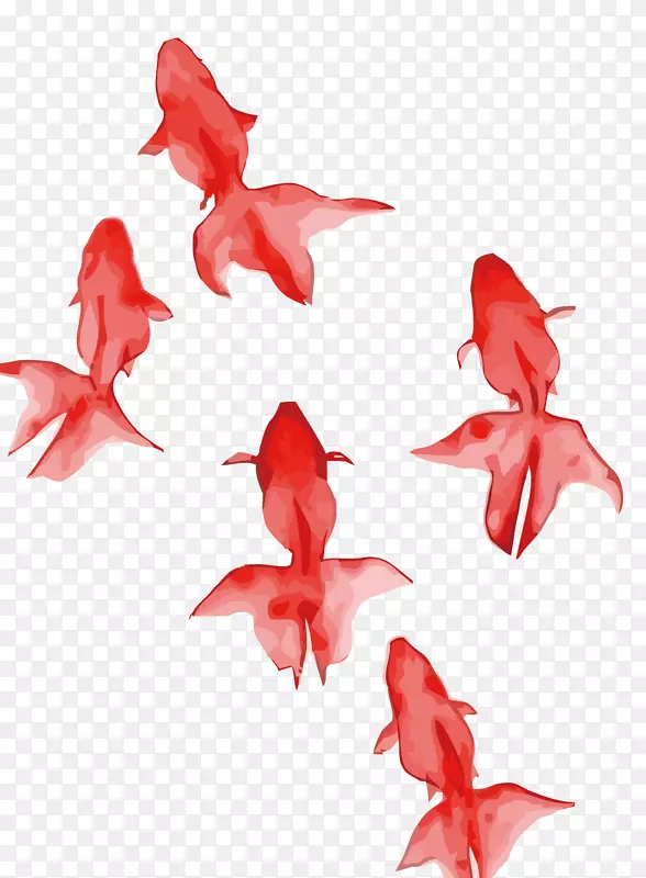 矢量红色鱼