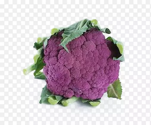 紫色的花菜素材图片