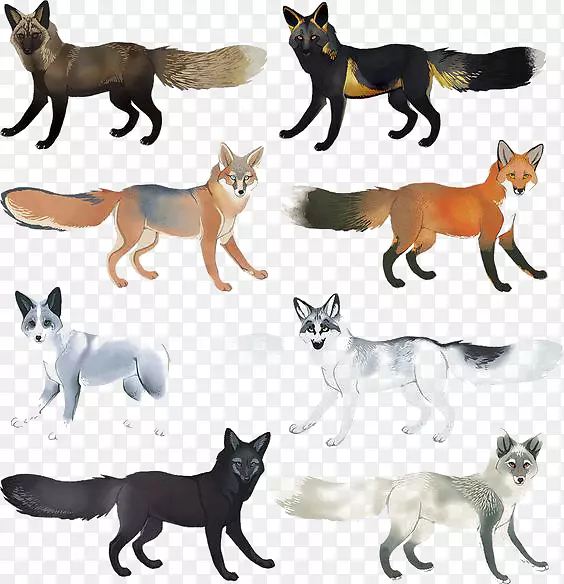 手绘各个品种狐狸