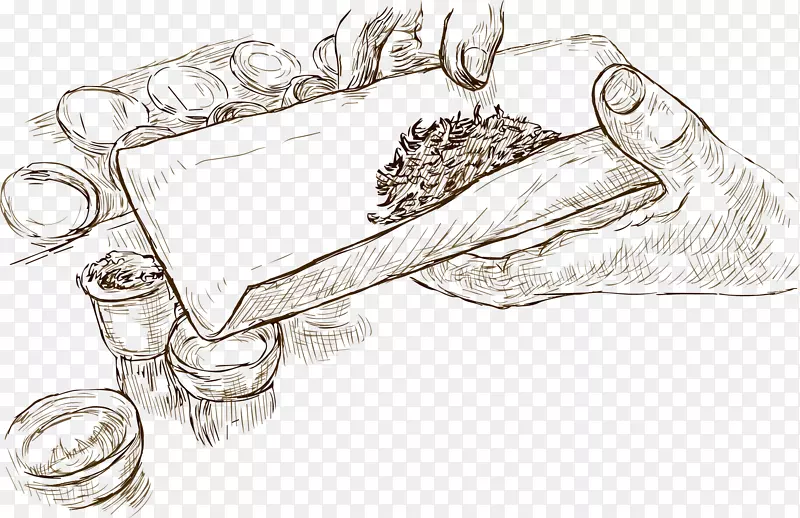 素描茶叶矢量图