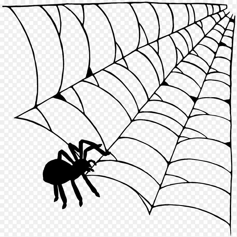 手绘黑色网状蜘蛛丝