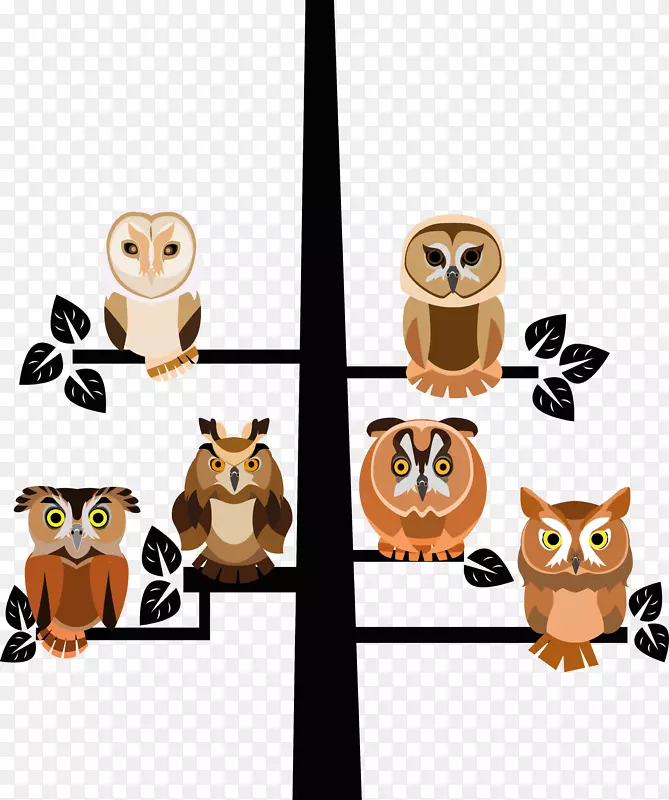 6只猫头鹰停在树梢矢量图