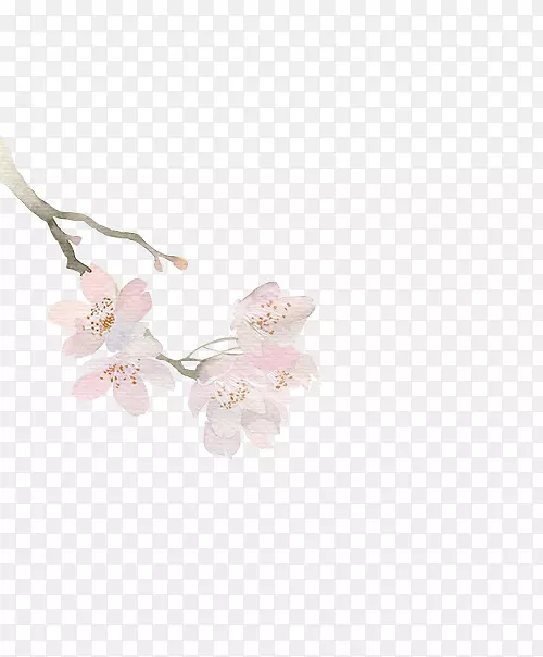 淡粉色树梢樱花