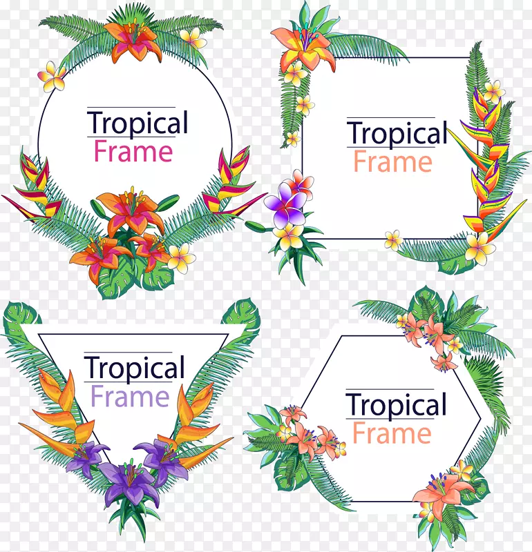 4款彩绘热带花草框架矢量素材