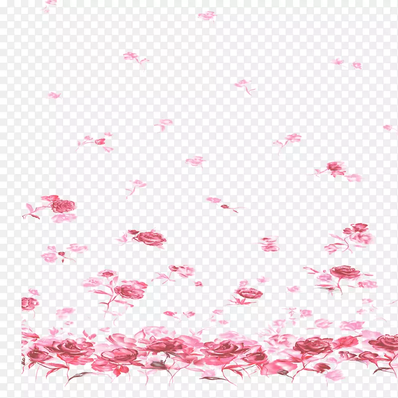 飘零的花朵