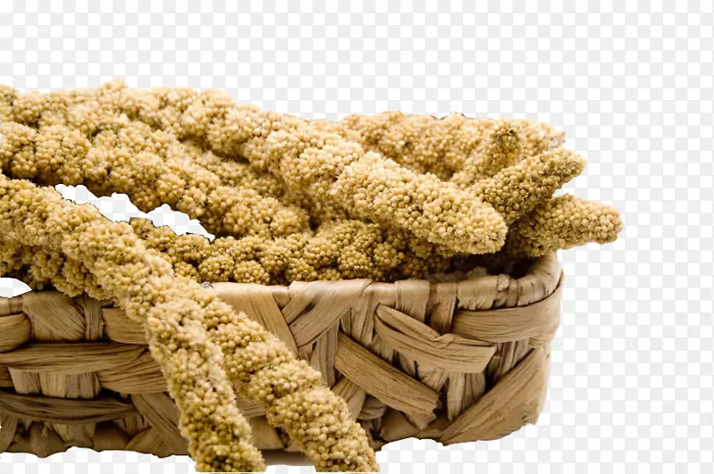 竹编筐里的黄色成熟饱满小米粒穗